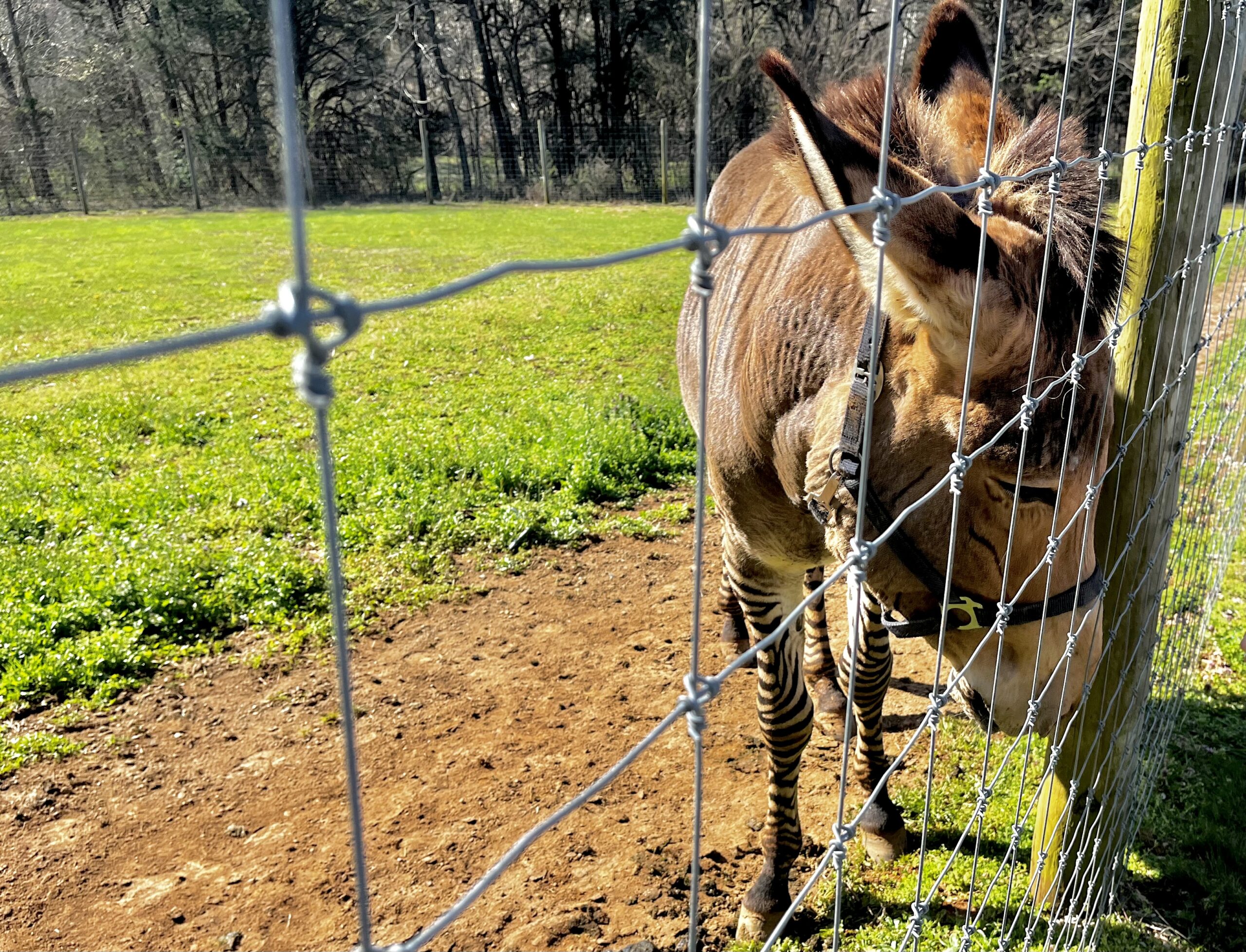 Experiences for Non-Traditional Visitors in Kentucky